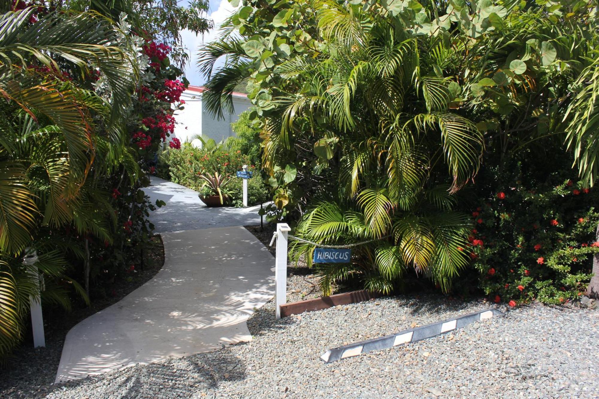 Hibiscus Suite At Sunset Serenade Cruz Bay Екстериор снимка